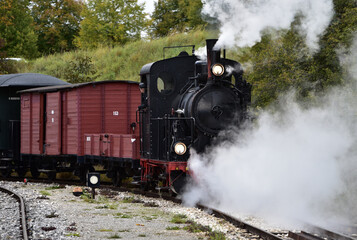 Fototapeta premium Schmalspur - Museumsbahn auf dem Härtsfeld mit Dampflokomotive, Personenwagen, Triebwagen in herbstlicher Landschaft