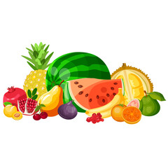 Set of fruits without background vector