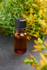 Amber glass bottle of thyme essential oil surrounded by vibrant yellow thyme flowers and green foliage, showcasing natural beauty and wellness concepts in a serene setting