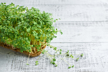 Fresh microgreens growing in a wooden tray on a rustic white wooden surface, showcasing vibrant green leaves and healthy roots, ideal for culinary and health-focused projects