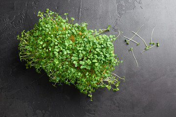 Fresh microgreens arranged on a dark textured surface, showcasing vibrant green leaves and delicate stems, highlighting the beauty of healthy culinary ingredients