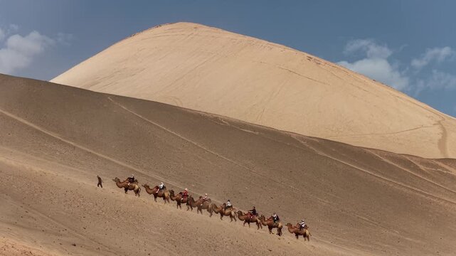 Aerial view of camels carrying people across the vast, undulating sand dunes under a blue sky, creating a striking contrast, Turpan, Xinjiang, China.