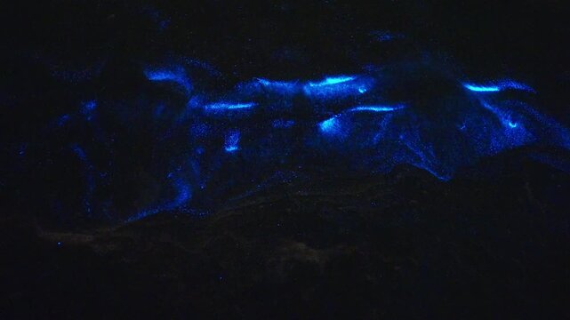 Bioluminescence (Noctiluca scintillans) in the waves