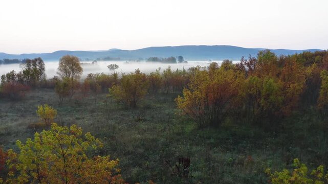 A serene aerial view capturing the ethereal beauty of an autumn morning in the South Ural region of Bashkortostan, Russia. Dense fog blankets the valleys, creating a mystical atmosphere among the vibr