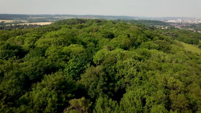Flight over trees