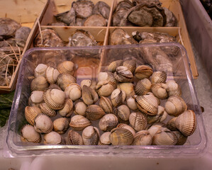 Freshly caught snails at the market.
