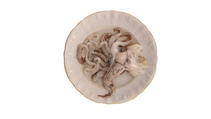 seppia octopus fresh raw cuttlefish on a plate.