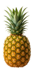 Pineapple with a spiky top and textured, scaly skin.
