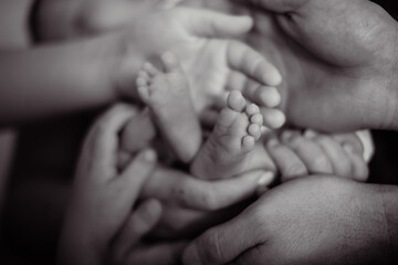 Close-up of baby feet in parents’ hands, love and care