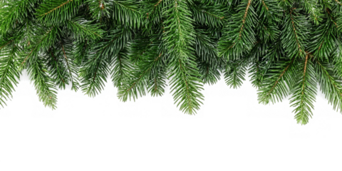 christmas background with branches
