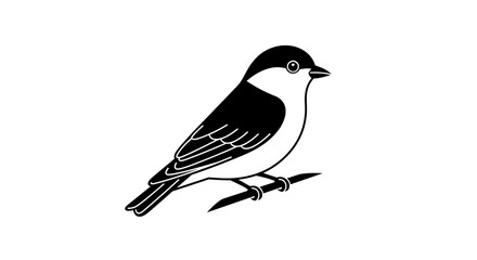 Black and white bird perched on a branch.