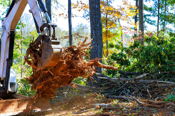 Excavator lifts tree roots from ground amid fallen branches autumn foliage during deforested © ungvar