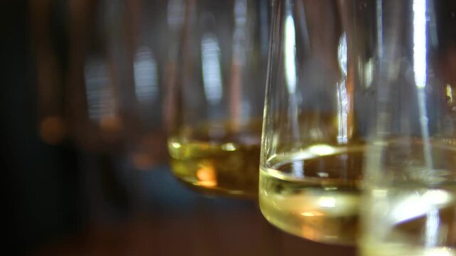 Champagne tasting, Wine glasses are on the table, stylish table setting, wine is poured from a bottle and decanter, sparkling wine bubbles, snacks, people smell the aroma and taste .