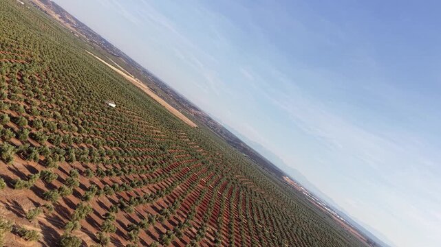 Tierra de olivos en Andaluc&iacute;a vista desde un dron, Andaluc&iacute;a