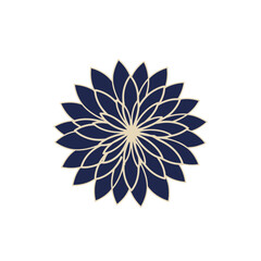 Elegant Floral Design on Black Background.