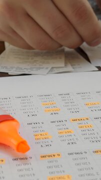 Business strategy development with financial analysis. Budgeting expert reviewing corporate earnings and costs. Revenue tracking, profitability assessment, and market adaptation strategies
