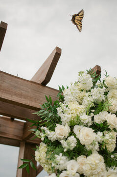 monarch butterfly by wedding floral arch