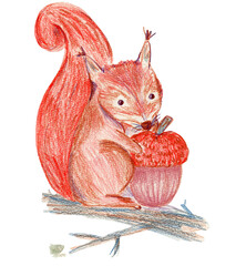 Cute crayon pencils textured hand drawing orange red squirrel illustration. Lovely wood forest animal with acorn nut on branch for kids print design, textile decor, greeting cards, stickers