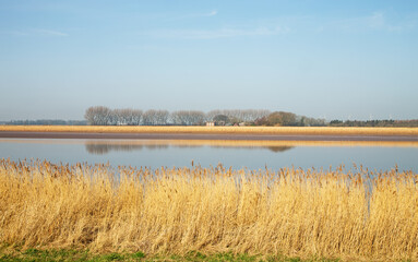 A view of the River Ouse from the Lincolnshire bank towards Yorkshire, near its junction with the Trent becoming the Humber showing the reed beds on either bank reflected in the peaceful river.