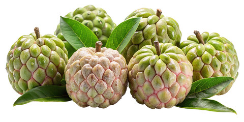 Obraz premium A cluster of ripe custard apples with green leaves showcasing their unique textured skin and exotic appeal isolated on transparent background