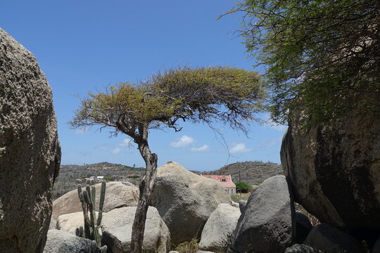 Ayo Rock Formations, Aruba Island