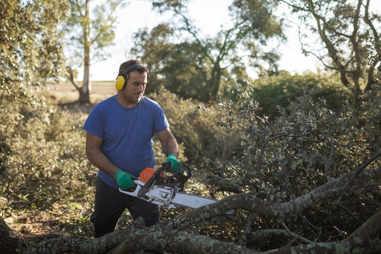 Young man cutting branches with chainsaw in the countryside
