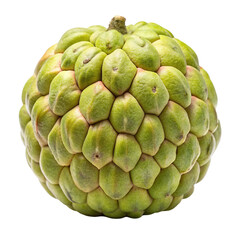 Fototapeta premium A ripe green custard apple fruit with a textured exterior isolated on transparent background