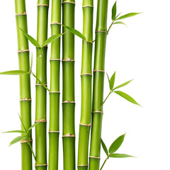 bamboo stalks, cutout, PNG isolated on a white or transparent background, generated AI