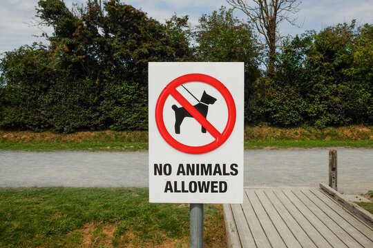 No Animals Allowed Sign