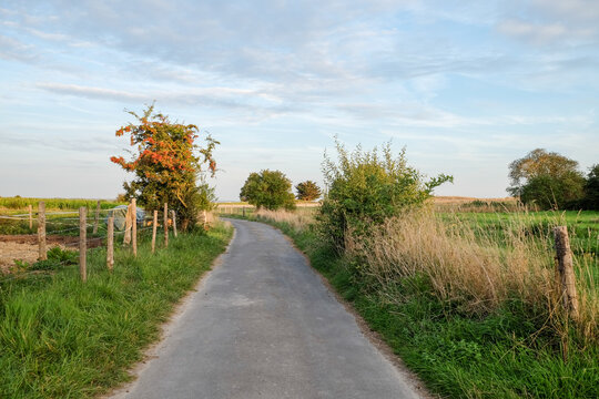 Country Road Through Farmland in Normandy