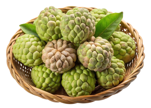A woven basket filled with fresh ripe custard apples showing their unique segmented green skin isolated on transparent background