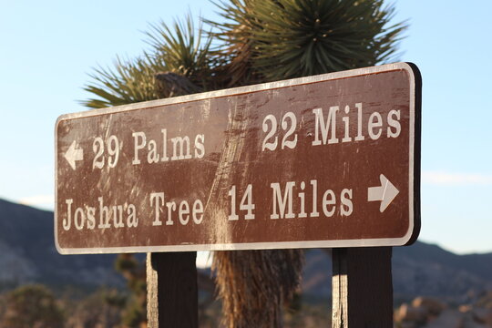Direction mileage Sign In Joshua Tree National Park