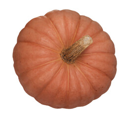 Obraz na płótnie Canvas Orange pumpkin isolated on transparent background. Fresh vegetable, squash. Natural graphic object. Fall, Halloween and Thanksgiving food concept. Flatlay, top view. Garden harvest, crop