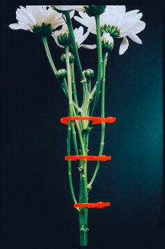 Arty Flower Arrangement