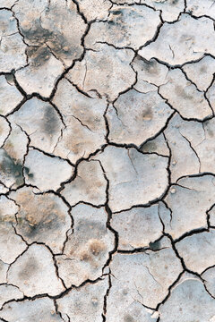 Dried Mud