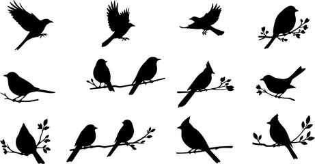 Set of Black Bird Silhouettes Flying and Perching on Tree Branches