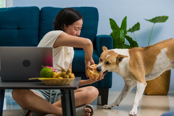 Asian woman at home with laptop playing ball with pet dog