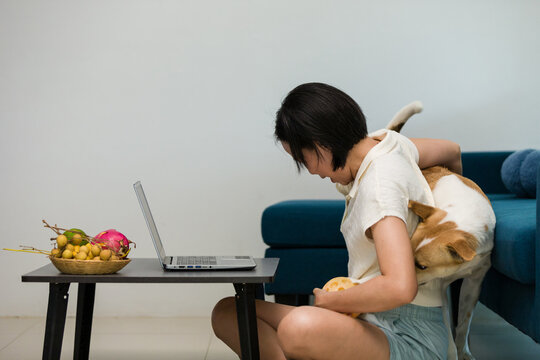 Asian woman at home hiding ball in shirt to play with pet dog