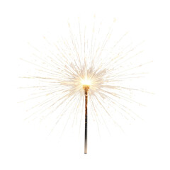 Obraz premium Glowing firework-like object radiating light on a black background