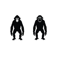 Chimpanzee Silhouette Set on White Background
