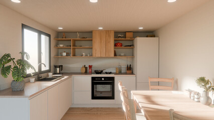 Modern Minimalist Kitchen