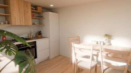 Modern Minimalist Kitchen