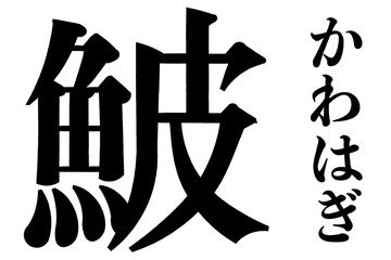 鮍 かわはぎ 