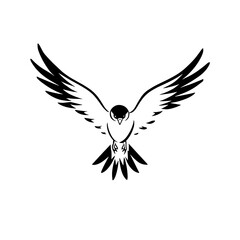 Obraz premium Falcon. Falcon simple black and white line art vector logo