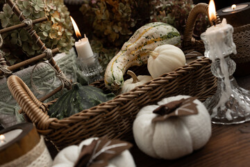 Autumn harvest. a wicker basket with a green pumpkin and white decorative pumpkins on a wooden table with candles on a background of hydrangeas.