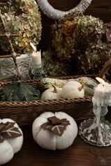 Autumn harvest. a wicker basket with a green pumpkin and white decorative pumpkins on a wooden table with candles on a background of hydrangeas.