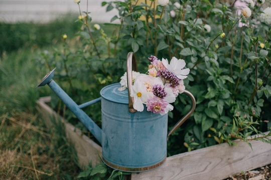 Watering Can with Flowers Inside