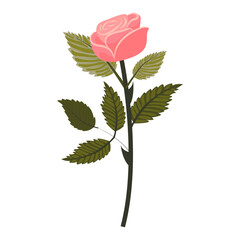 Delicate pink rose. Flower on a slightly inclined stem. Vector illustration isolated on a white background.