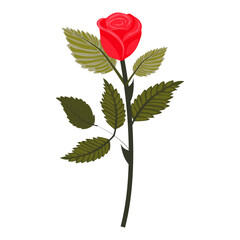 Bright red rose. Cute flower on a slightly inclined stem. Vector illustration isolated on a white background.