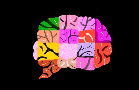  Colorful brain  is divided into cells